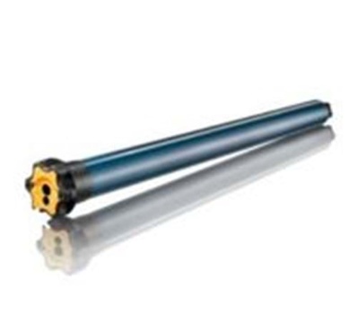 Somfy® Motor for Evo 350