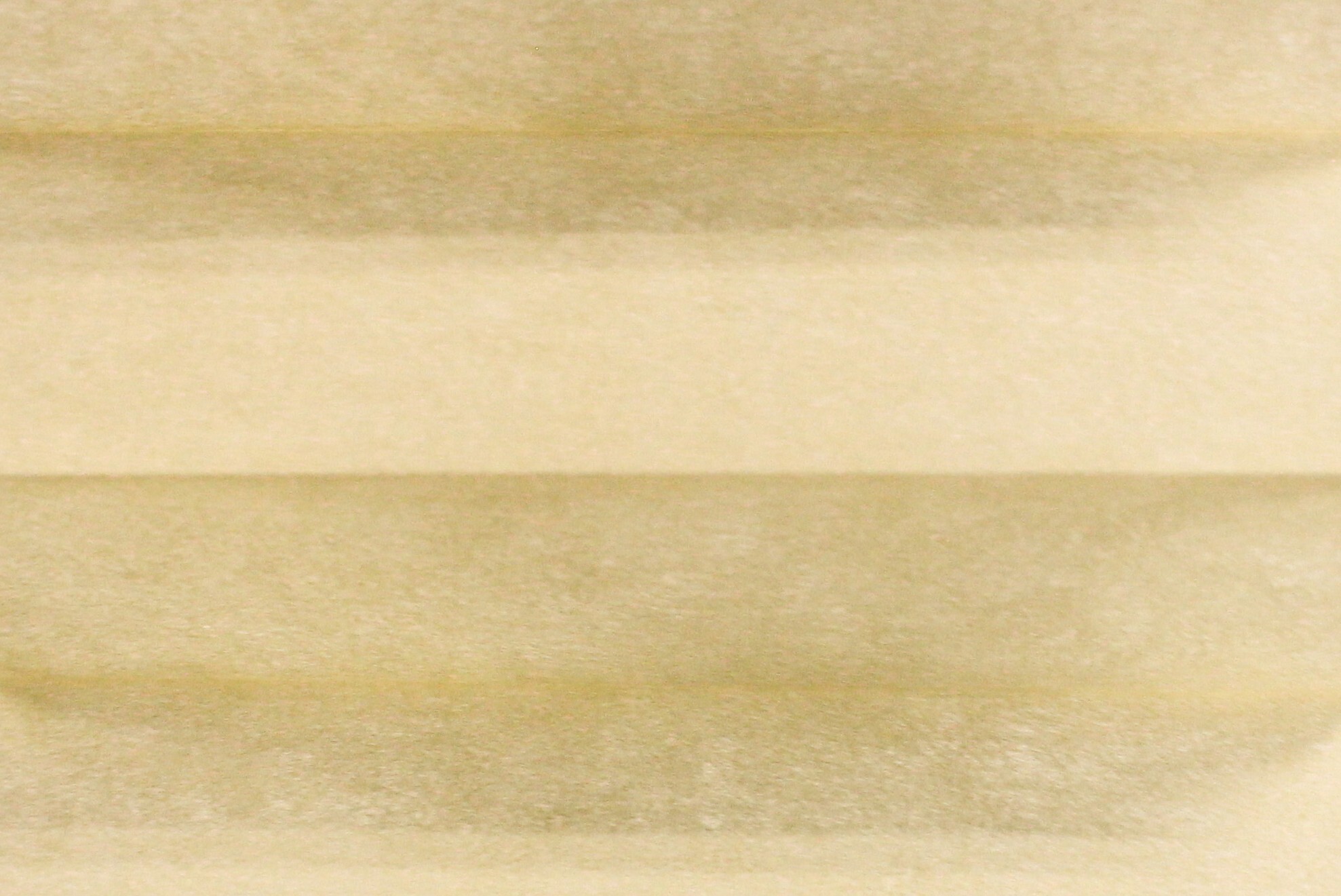 Butterscotch