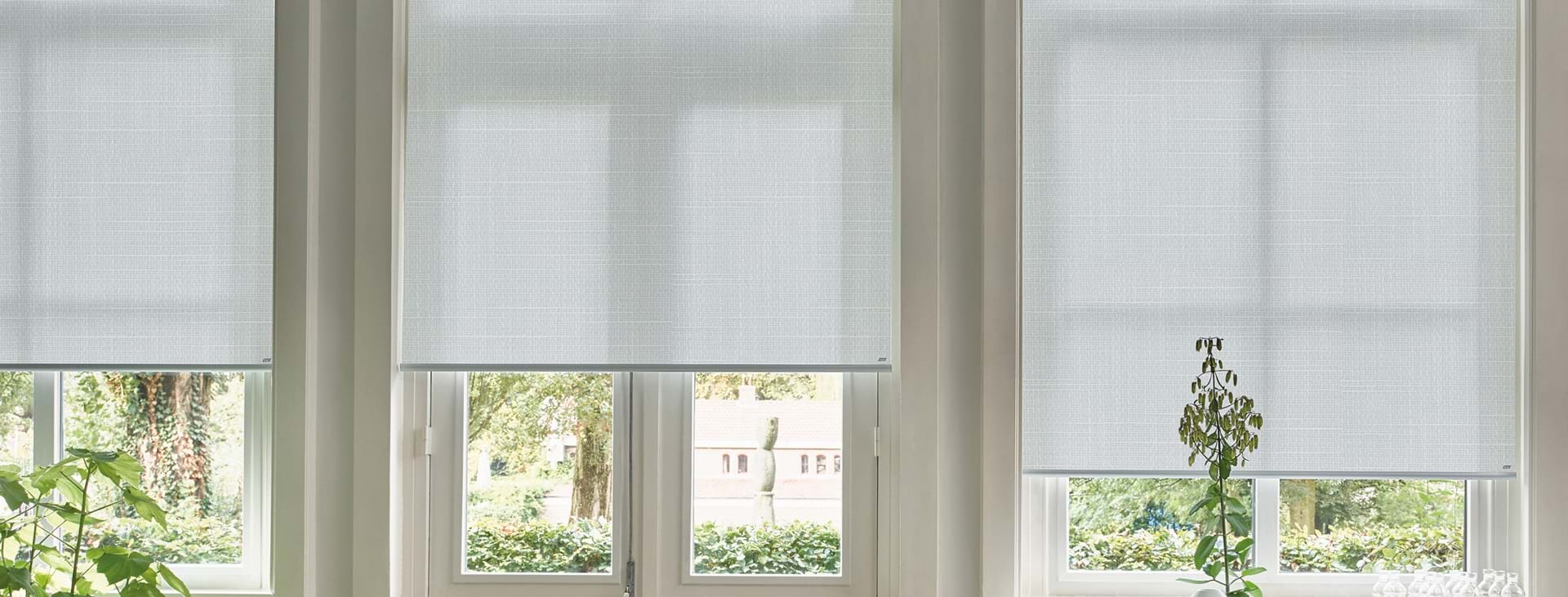 Roller Blinds and Sunscreens